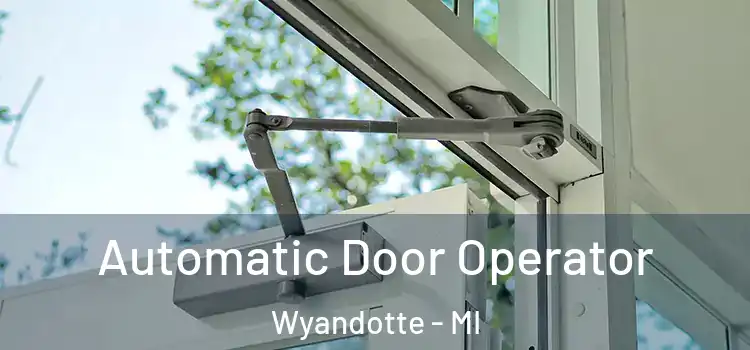  Automatic Door Operator Wyandotte - MI