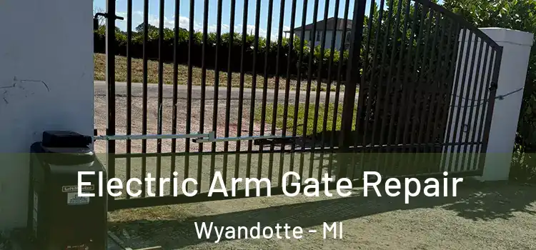 Electric Arm Gate Repair Wyandotte - MI