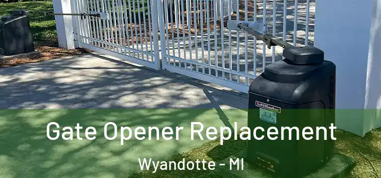 Gate Opener Replacement Wyandotte - MI